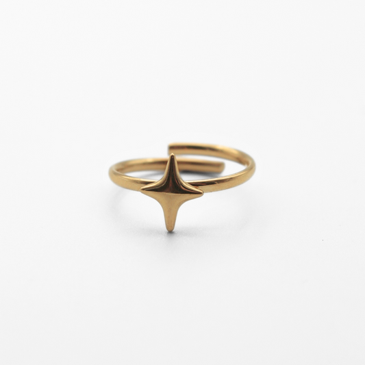 Starly - Ring - Edelstahl - Verstellbar