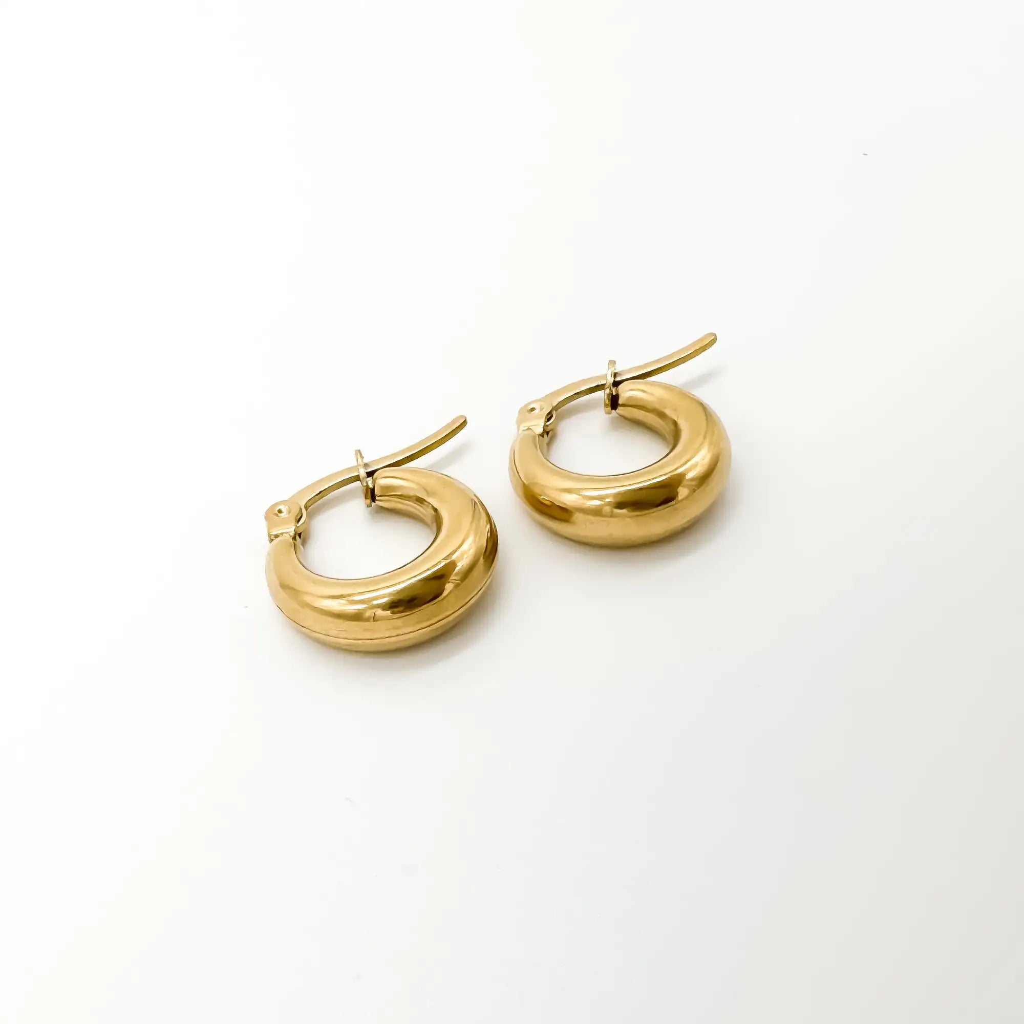 Dolce - Earrings - Stainless Steel