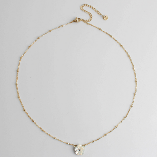 Fleur de coquillage - Collier - Acier inoxydable